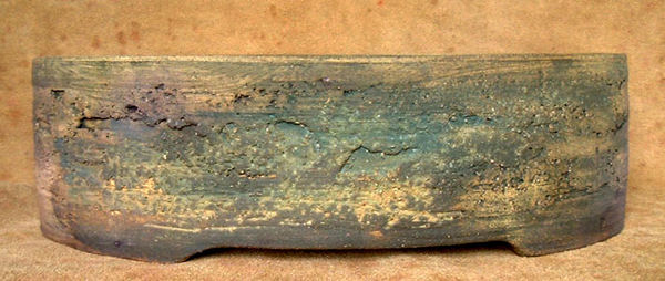 bonsai pot